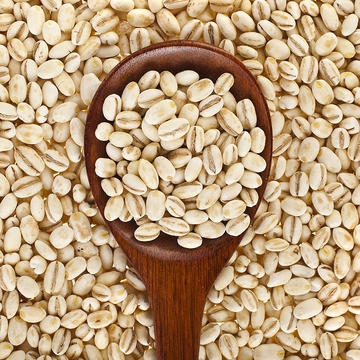 Barley in a spoon