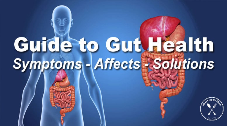Beginners Guide to Gut Health