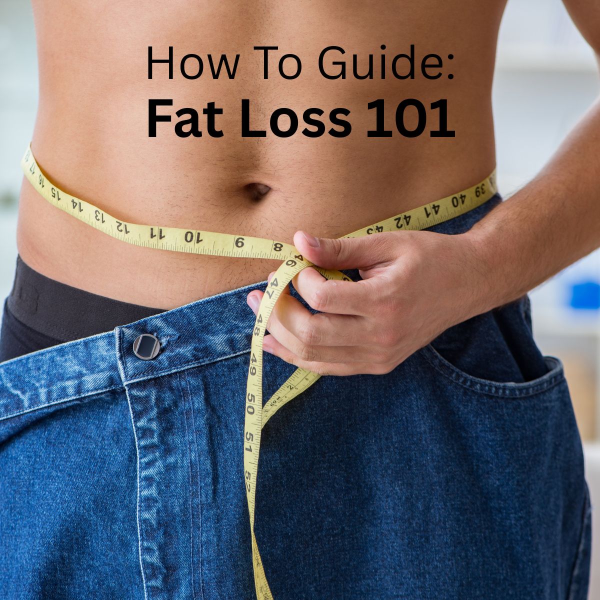 How To Guide Fat Loss 101