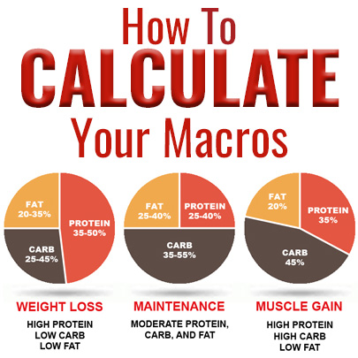 How to Calculate Your Macros