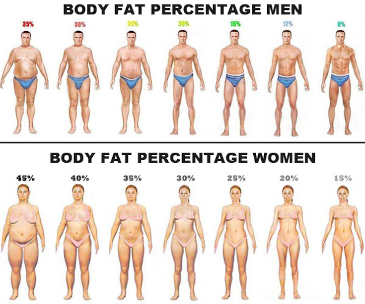 body-fat-percentage chart