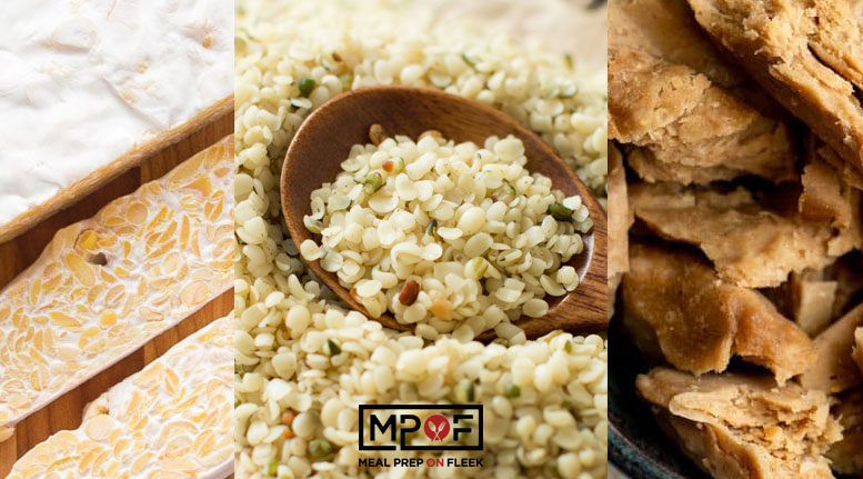 Plant Based Protein Sources