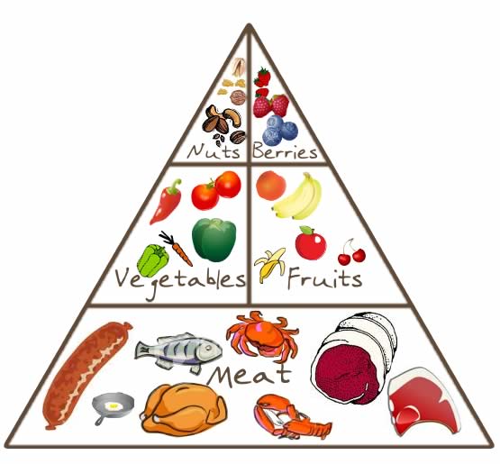 paleo food pyramid