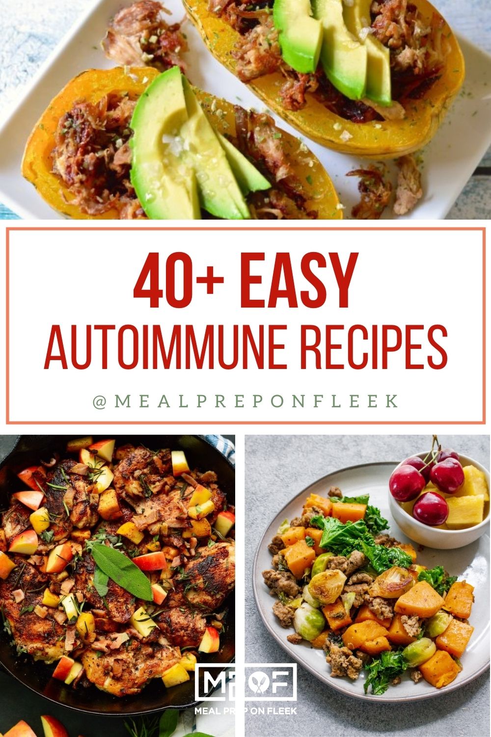 40 Easy AIP Friendly Recipes Pin (1)