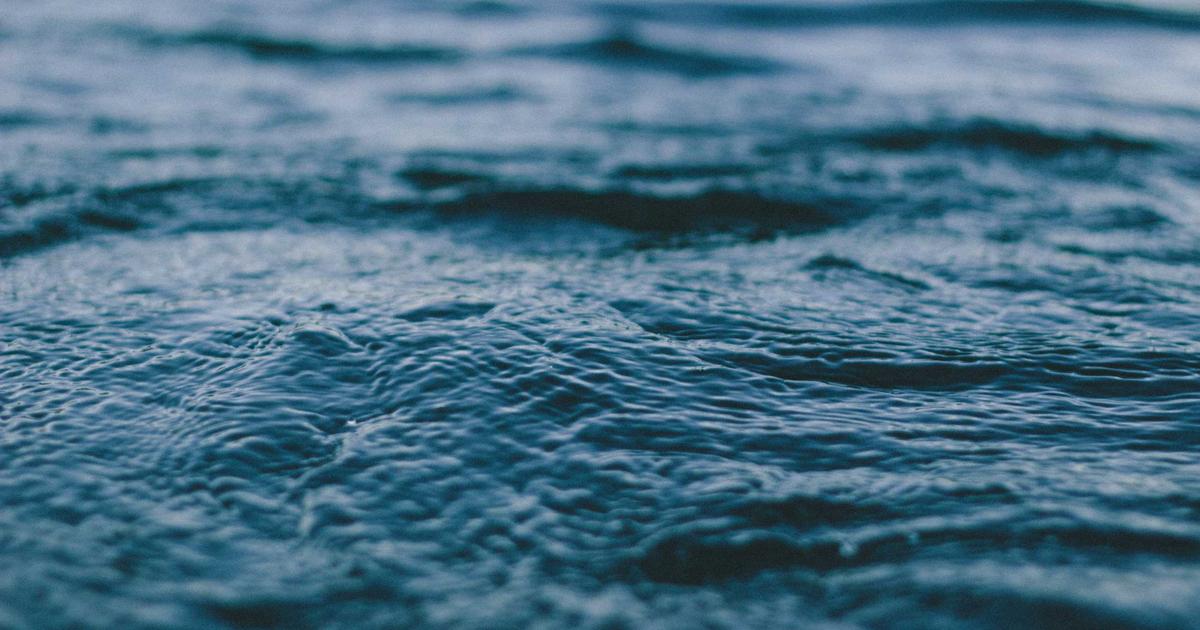 Top Meal Prep Storage Mistakes and How to Avoid Them