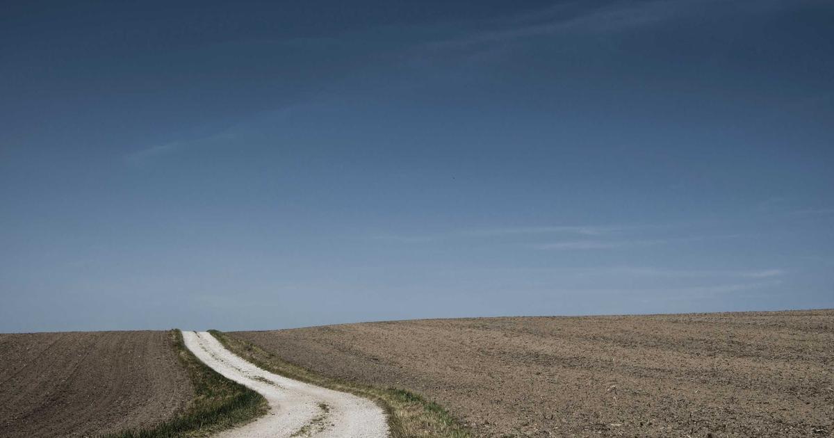 How to Master Meal Prep Breakfast: Tips and Techniques