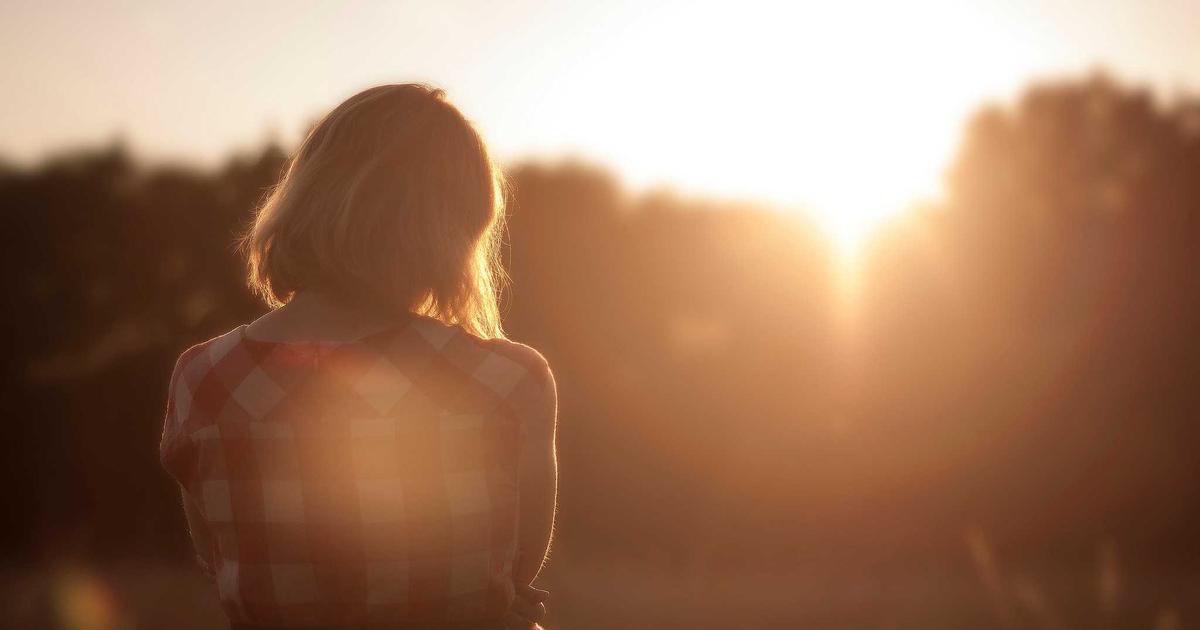 Meal Prep Containers: Everything You Need to Know