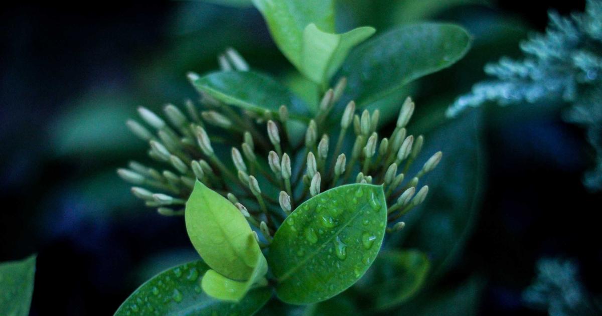 The Complete Guide to Sunday Meal Prep for Beginners