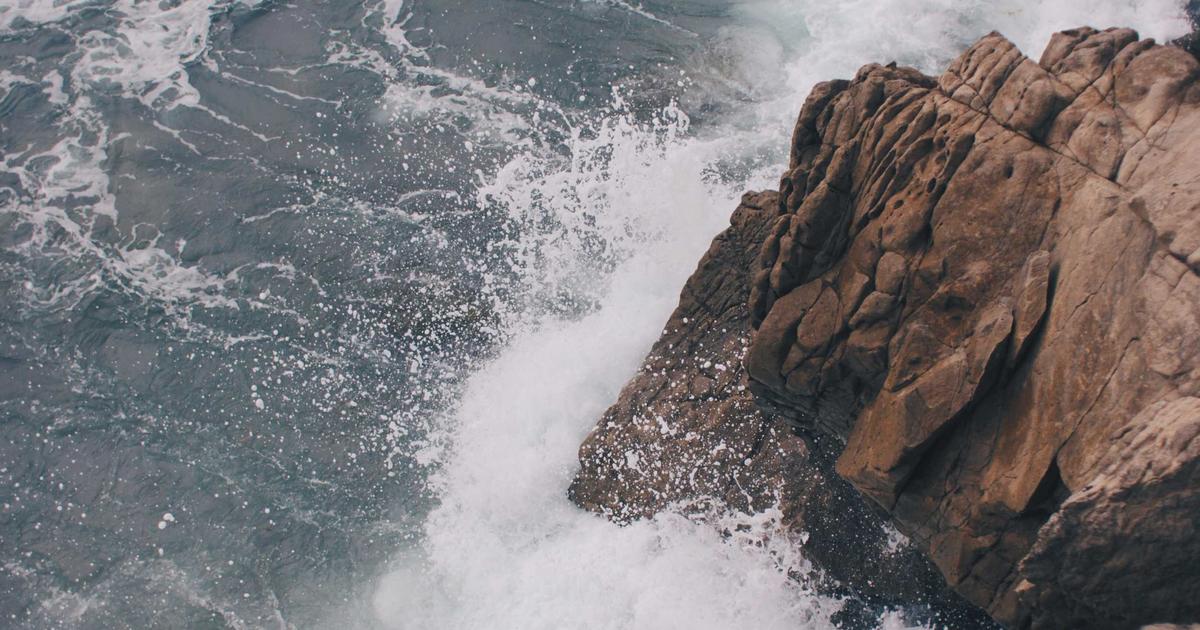 Protein Meal Prep: Everything You Need to Know