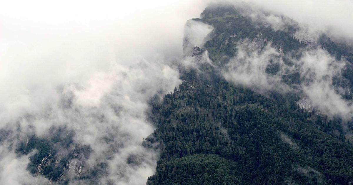 How to Master Meal Prep Chicken: Pro Tips